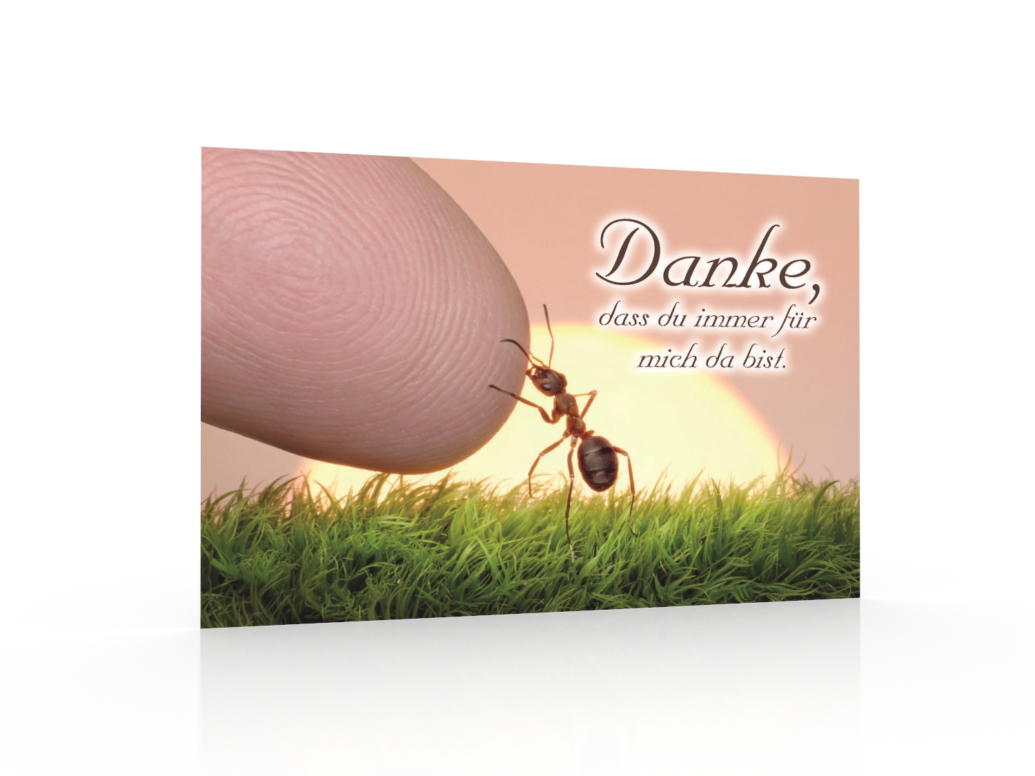 Inspirationskarte "Danke" (IK-AMEISE) Inspirationskarte "Danke" (IK-AMEISE)