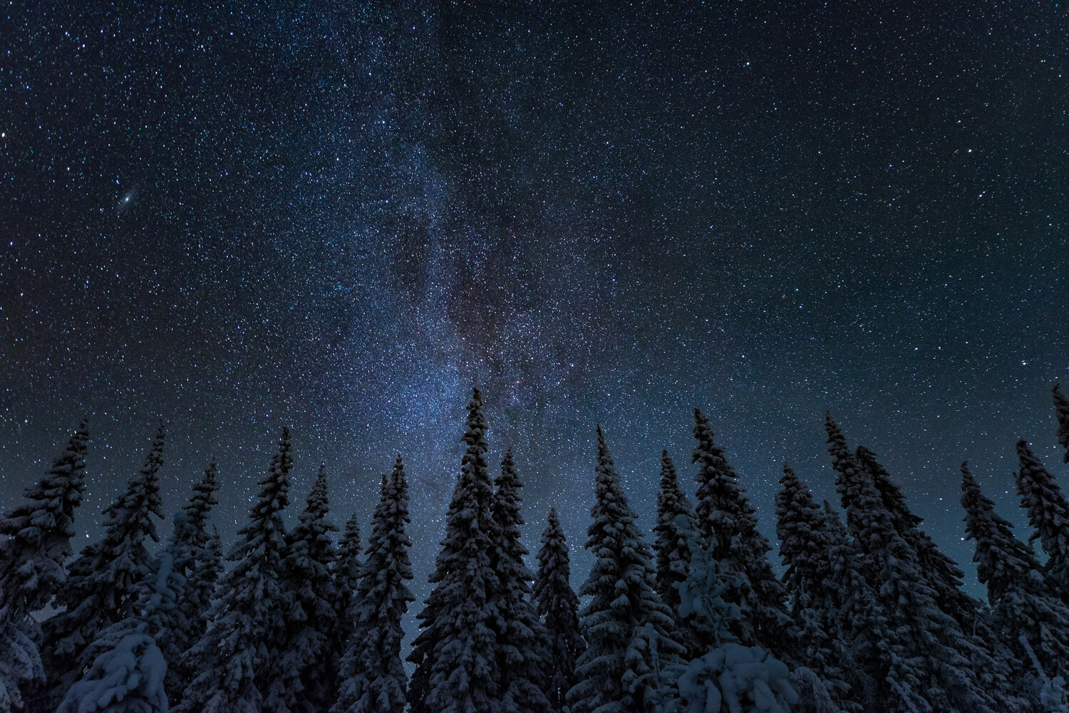 The magic of the Twelve Days of Christmas: a journey through mystical traditions
