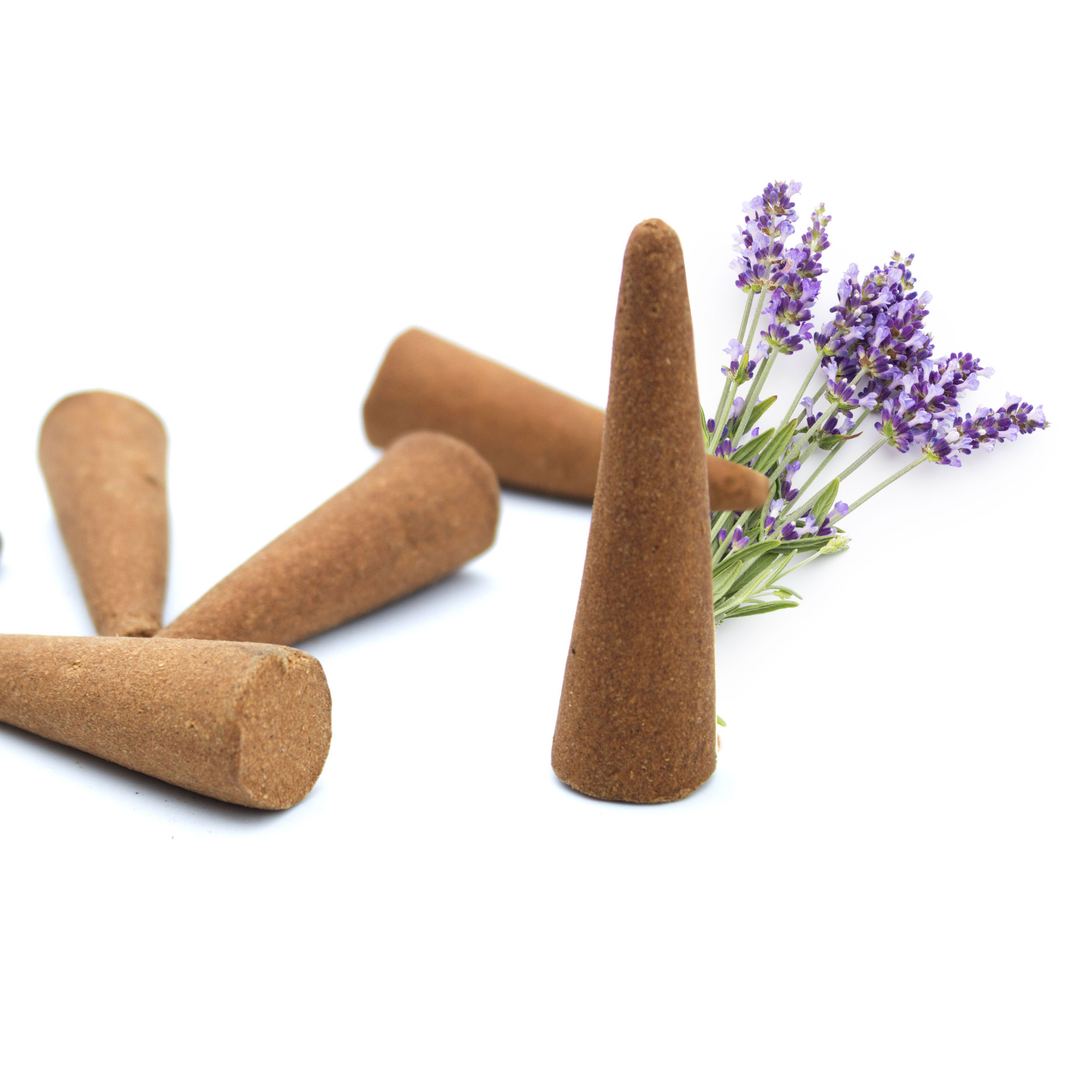 XXL Räucherkegel 25 Stück - Lavendel (LX2295-XXL) XXL Räucherkegel 25 Stück - Lavendel (LX2295-XXL)